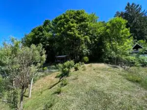 Garten II