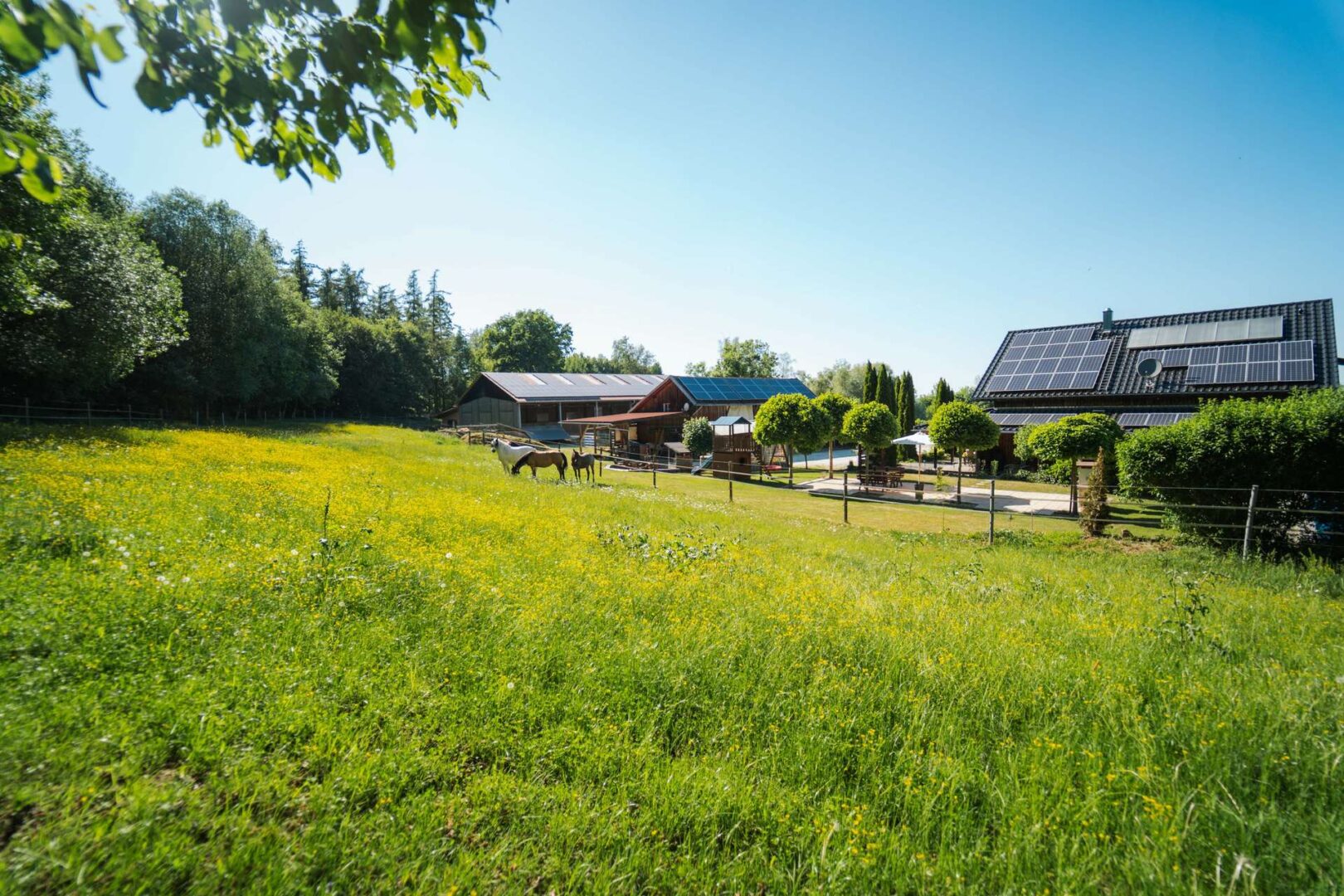 Ranch Eichendorf Koppel I