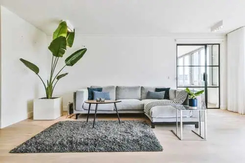 Bester Makler - ASAN Immobilien