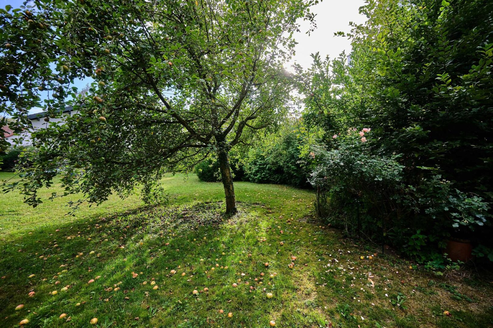 EFH Straubing Garten III