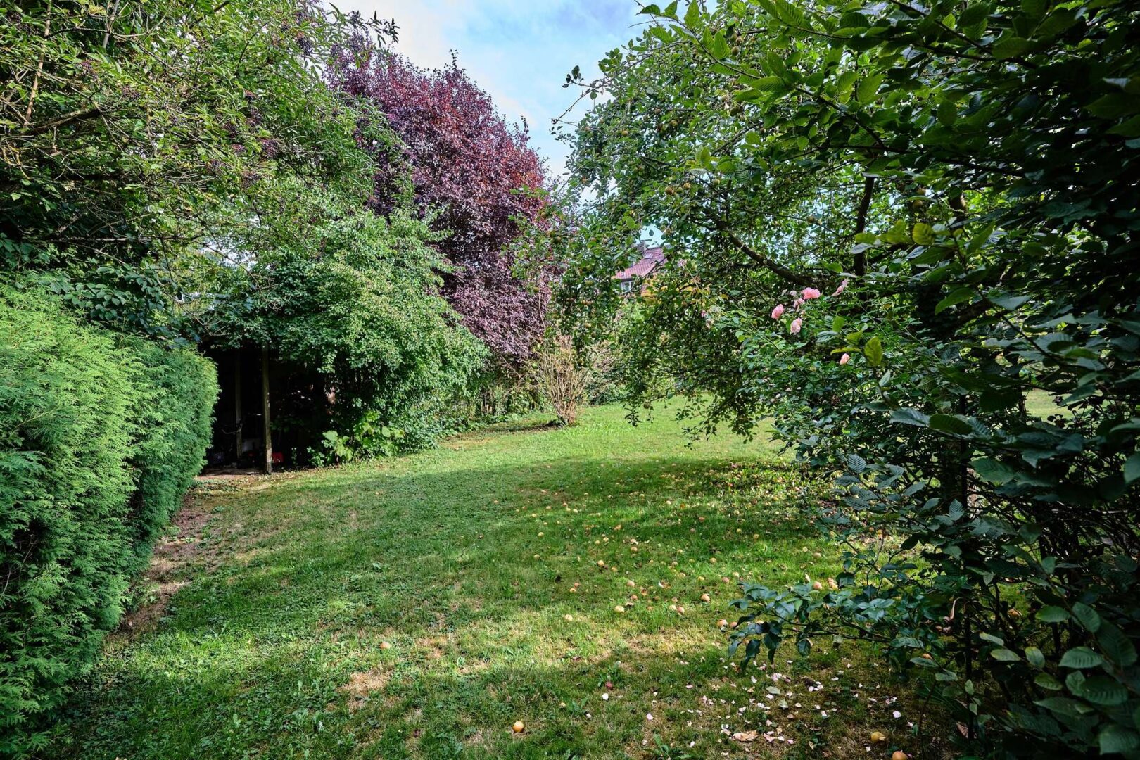 EFH Straubing Garten IV